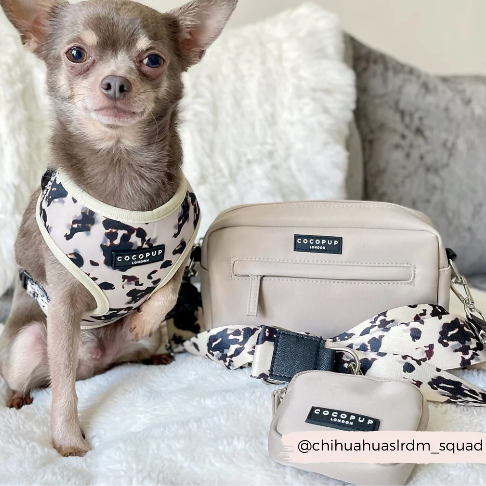 Dog Walking Bag Bundle - Ivory Tort - Image 8