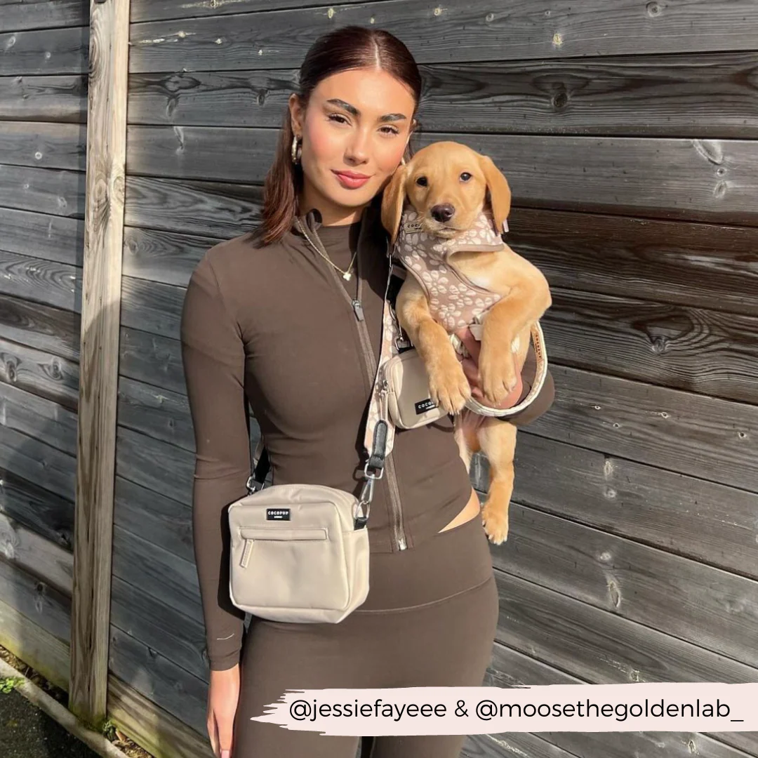 Dog Walking Bag Bundle - Mocha Flower - Image 6