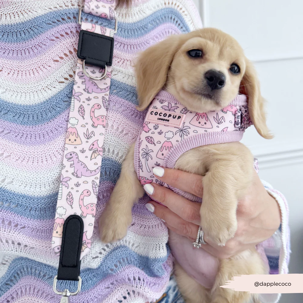 Bag Strap - Princess Dino - Image 4