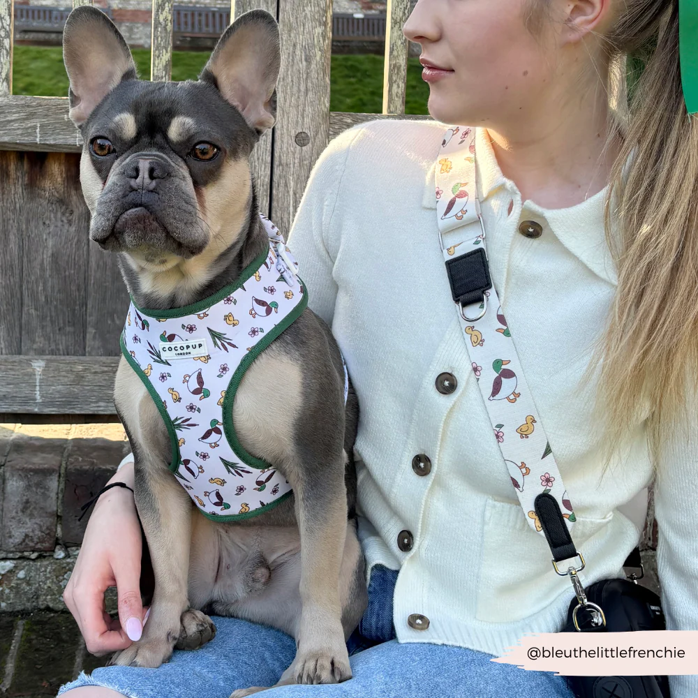 Dog Walking Bag Bundle - Puddle Pup - Image 7