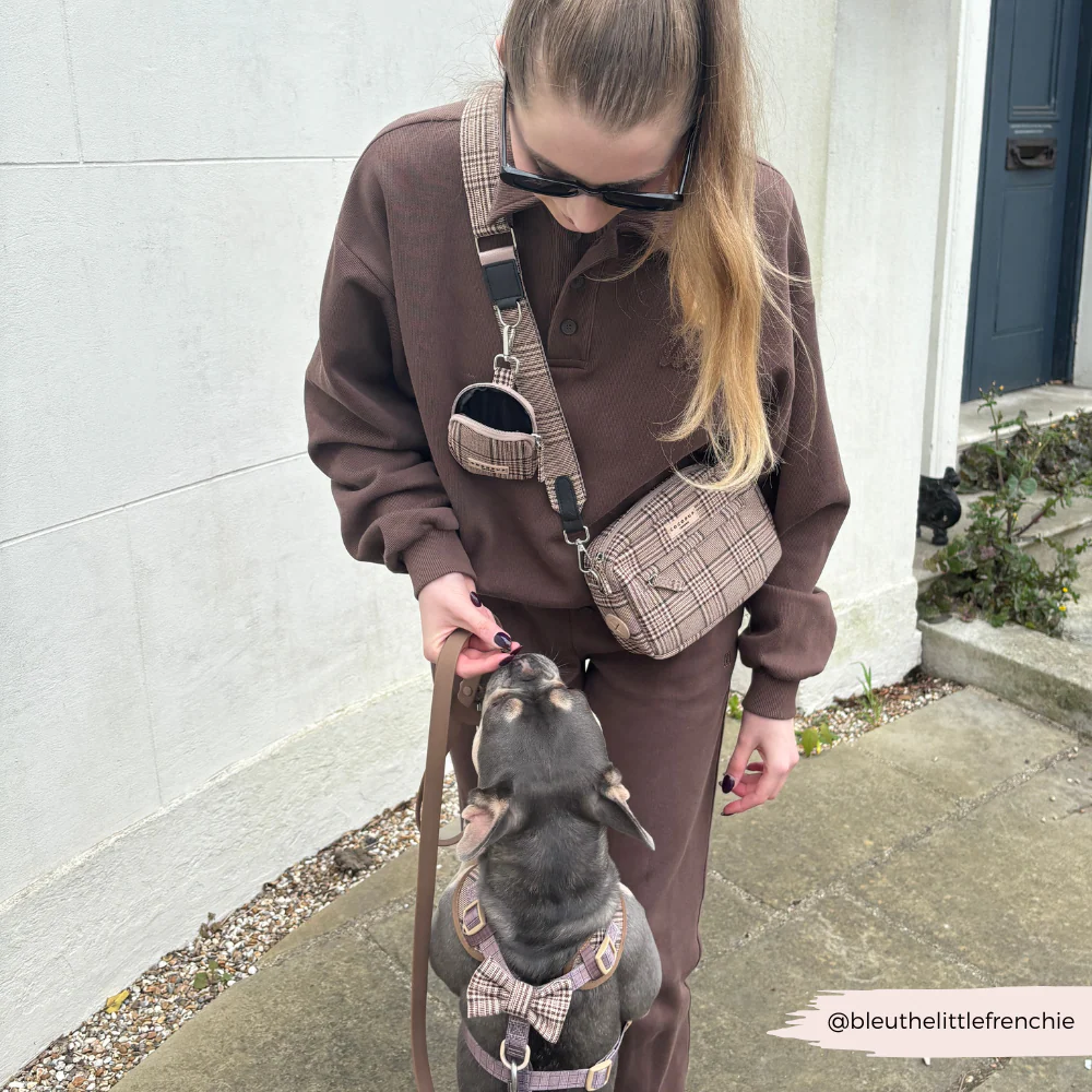 Dog Walking Bag Bundle - Pup Plaid - Image 13