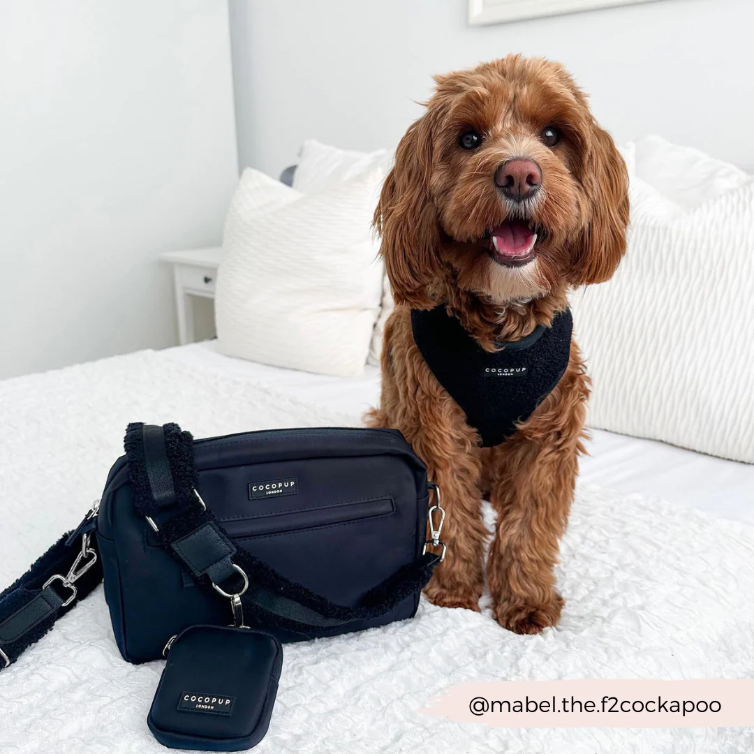 Dog Walking Bag Bundle - Teddy Baloo - Image 10
