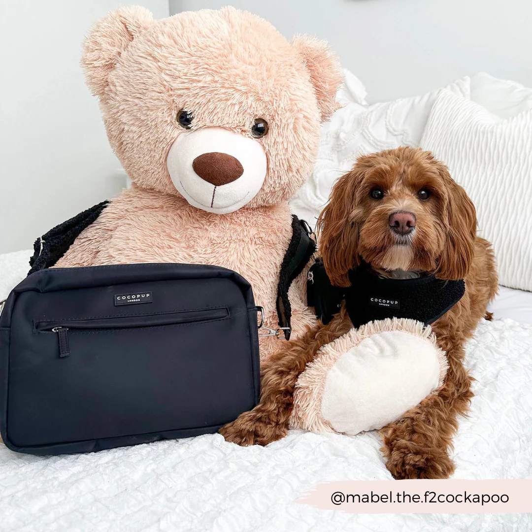 Dog Walking Bag Bundle - Teddy Baloo - Image 11