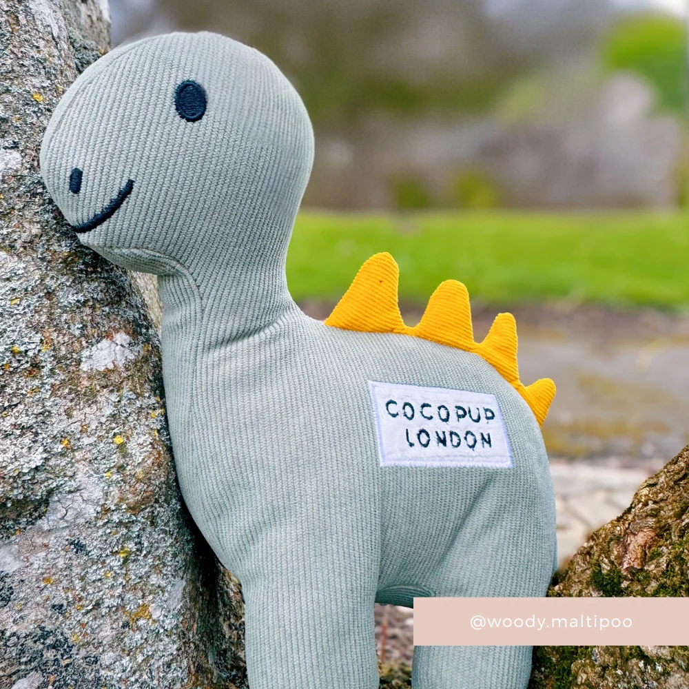 Doodles the Dinosaur Dog Toy - Image 2