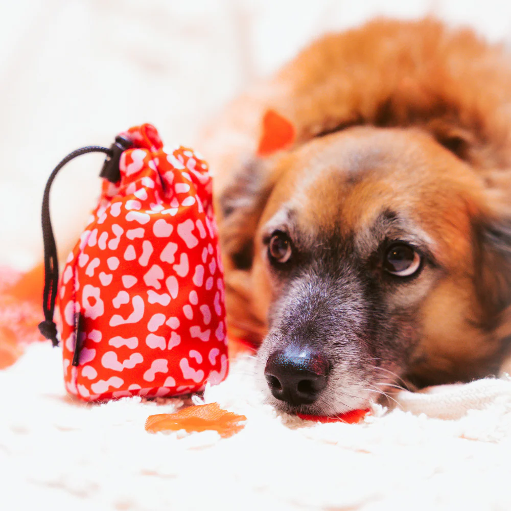 Drawstring Treat Pouch - Red & Pink Leopard - Image 3