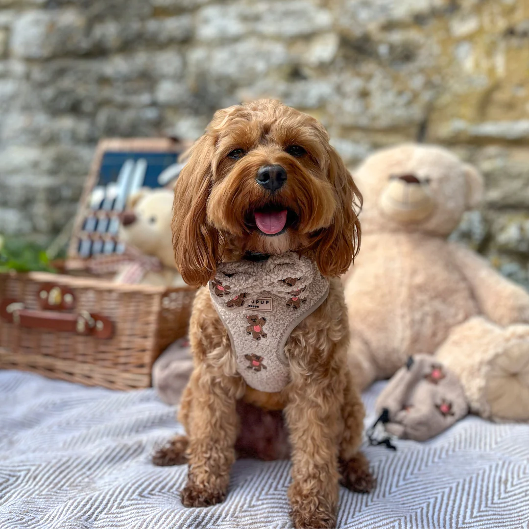 Theo Embroidered Teddy Bow Tie - Image 6