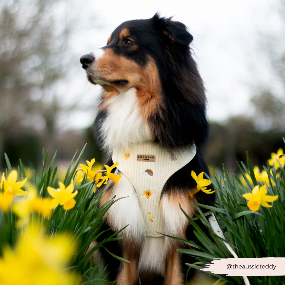 Embroidered Woodland Walkies Adjustable Neck HARNESS - Image 8