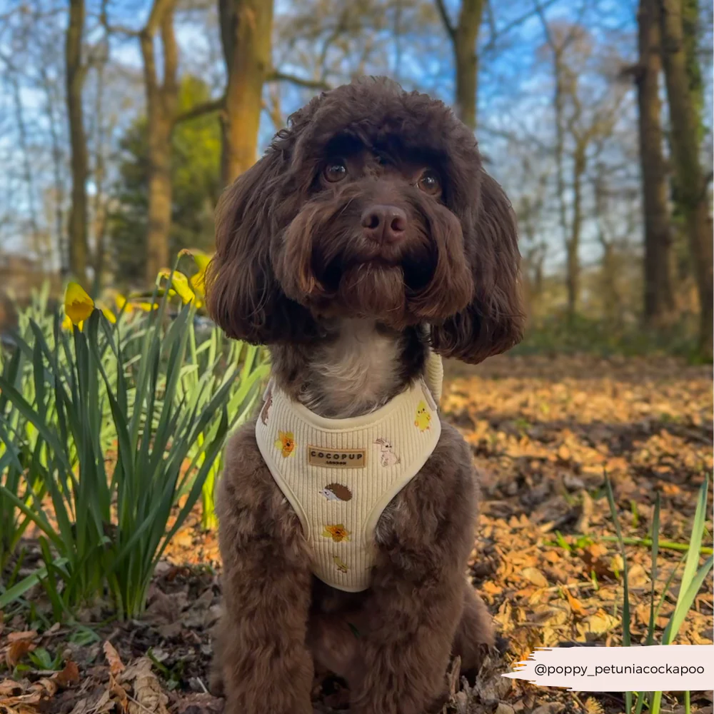 Embroidered Woodland Walkies Adjustable Neck Harness, Lead & Collar Bundle - Image 14