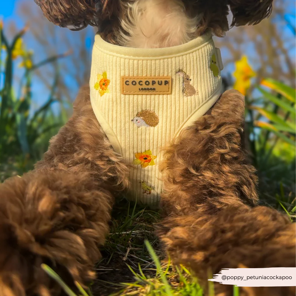 Embroidered Woodland Walkies Adjustable Neck Harness, Lead & Collar Bundle - Image 15