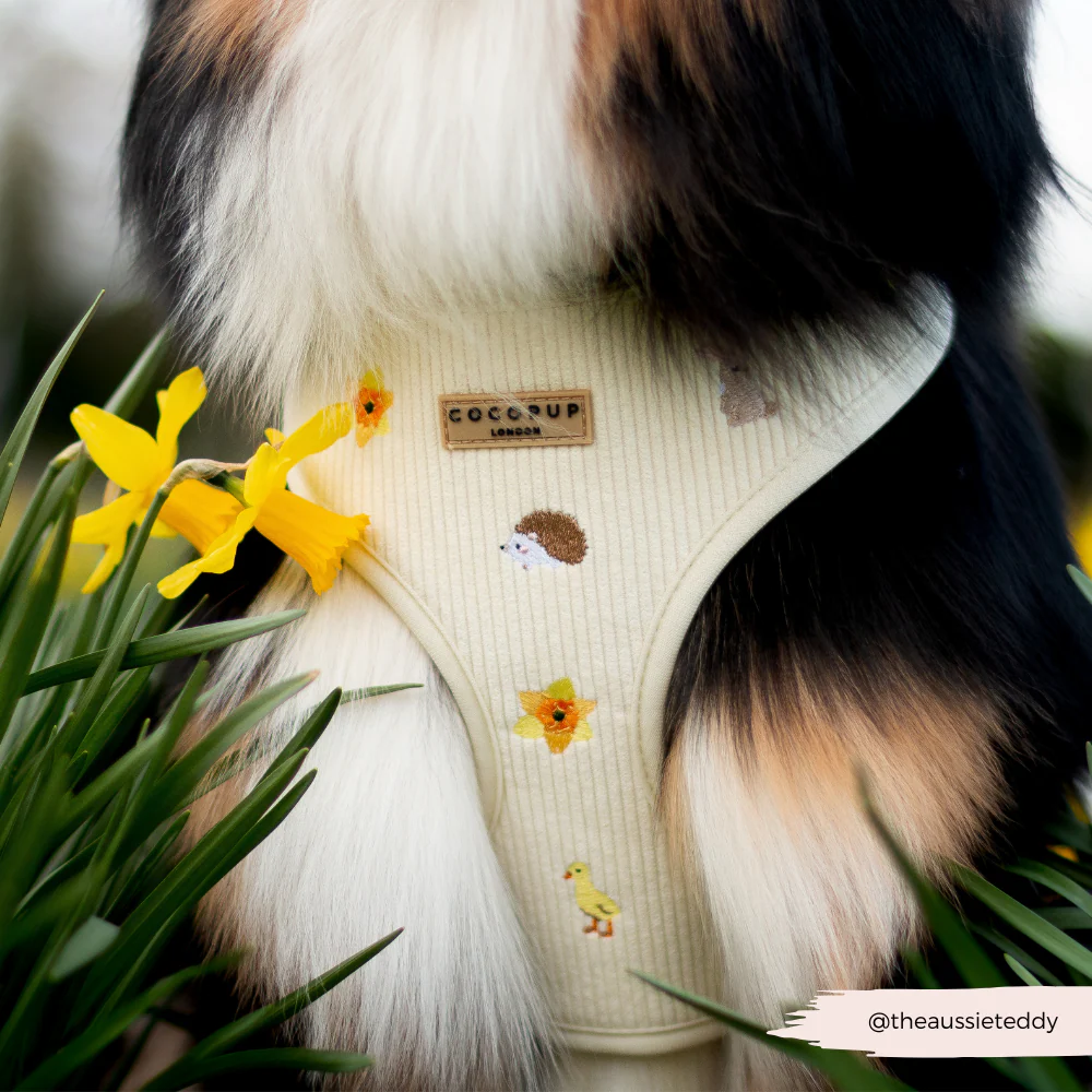 Embroidered Woodland Walkies Adjustable Neck Harness, Lead & Collar Bundle - Image 16