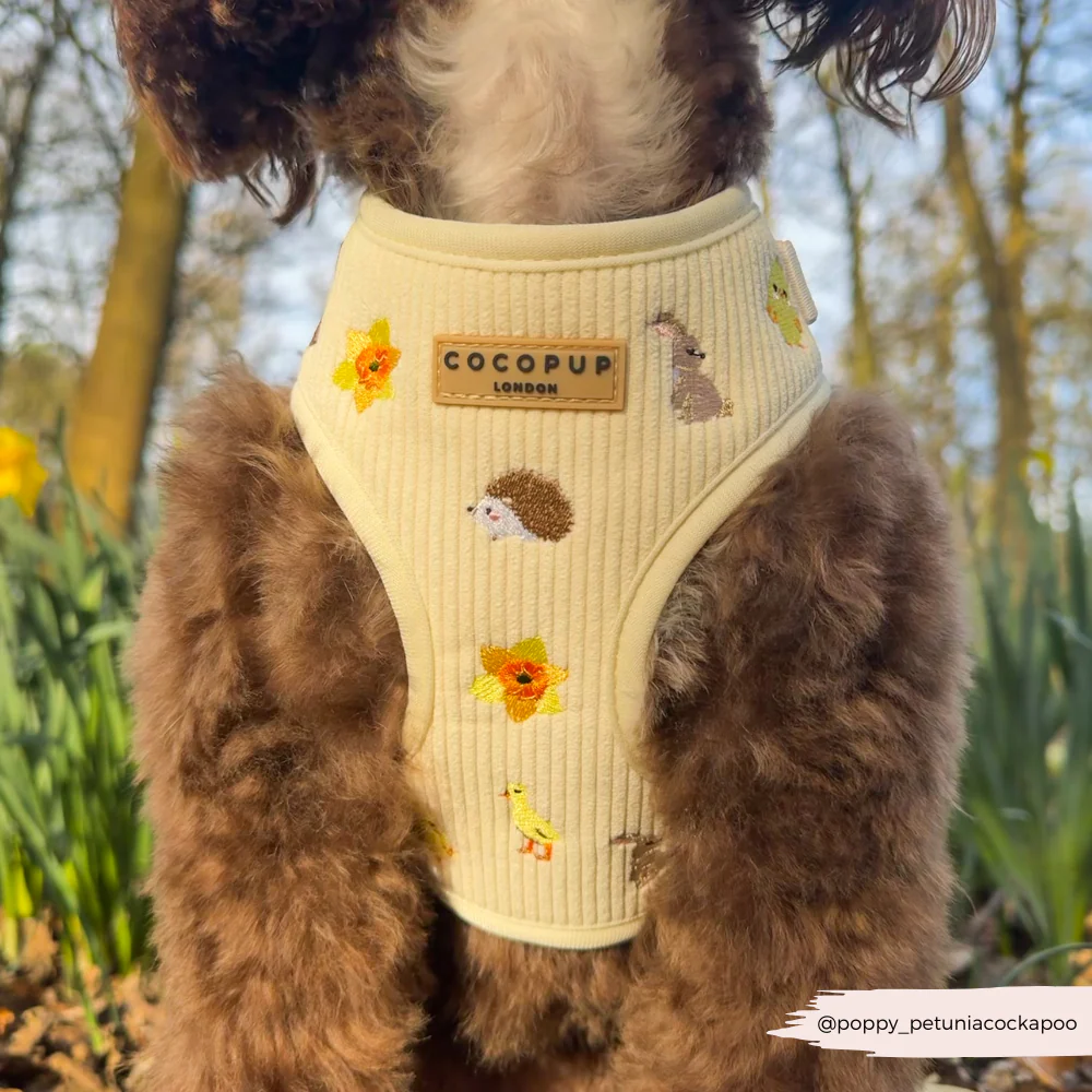 Embroidered Woodland Walkies Adjustable Neck Harness, Lead & Collar Bundle - Image 17