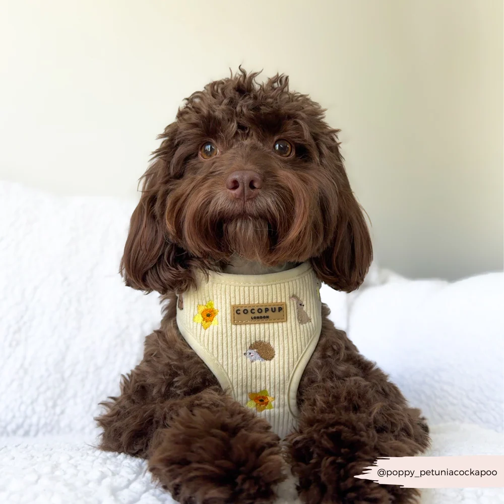 Embroidered Woodland Walkies Adjustable Neck HARNESS - Image 10