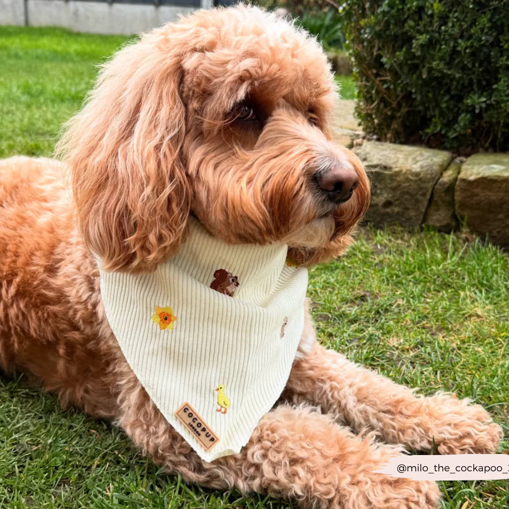 Embroidered Woodland Walkies Bandana - Image 3