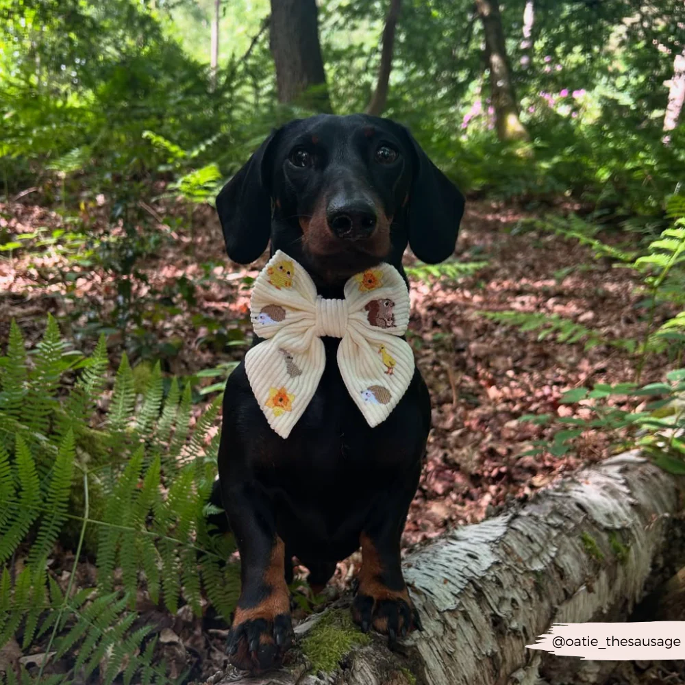 Embroidered Woodland Walkies Sailor Bow Tie - Image 7