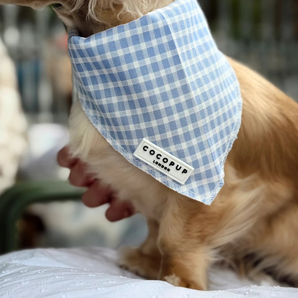 English Blue Bandana - Image 4