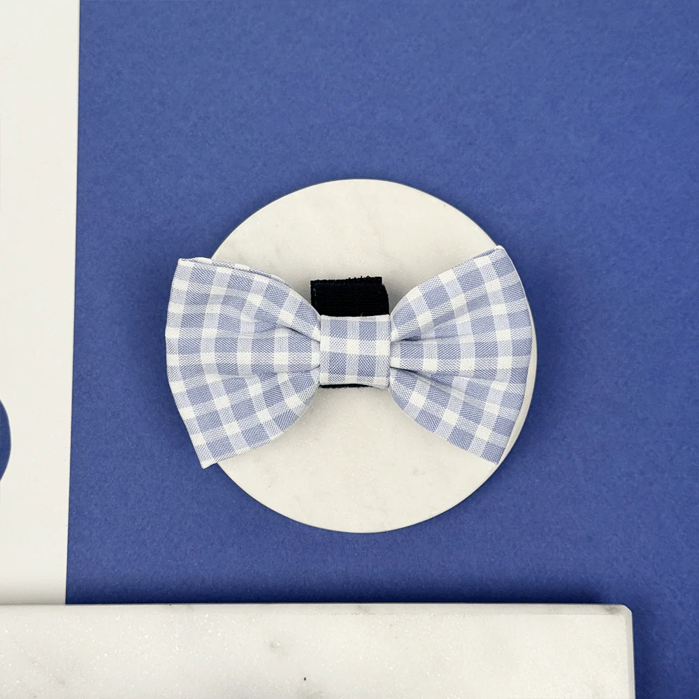 English Blue Bow Tie