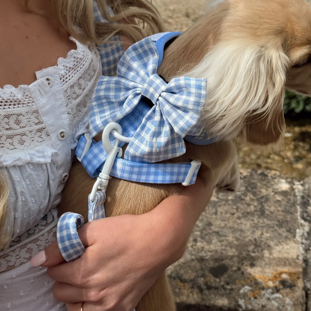 English Blue Sailor Bow Tie - Image 3