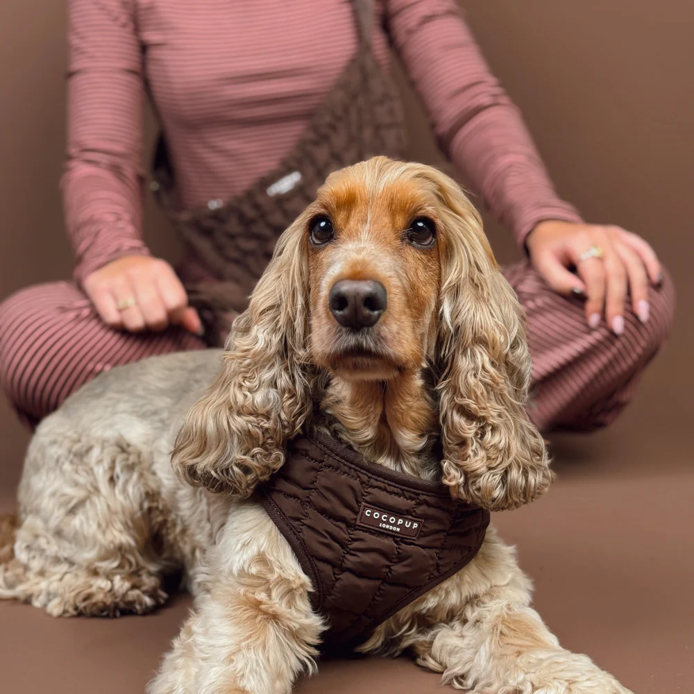 Espresso Quilted Adjustable Neck Harness, Lead & Collar Bundle - Image 9
