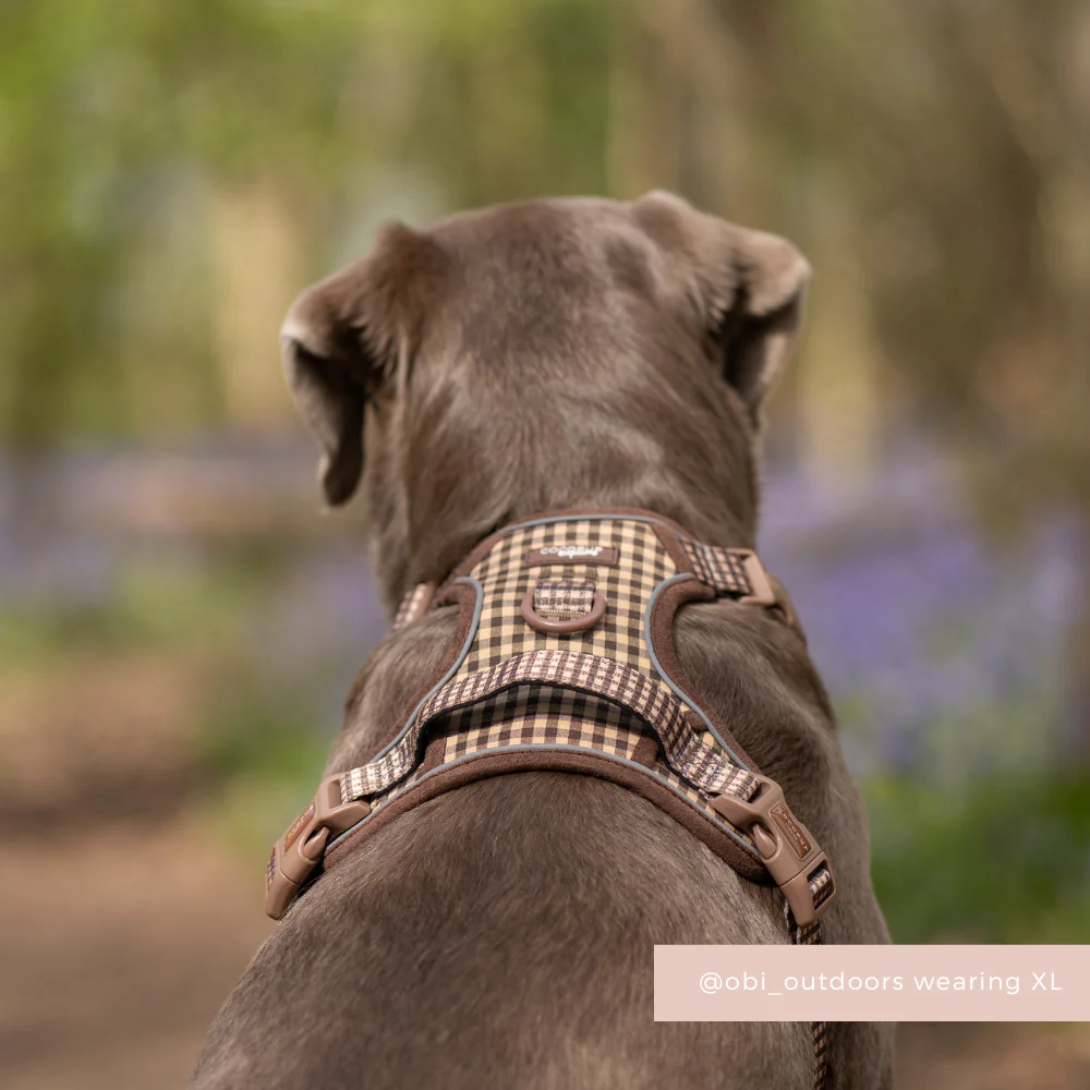 Explore Harness - Cotswold Check - Image 7