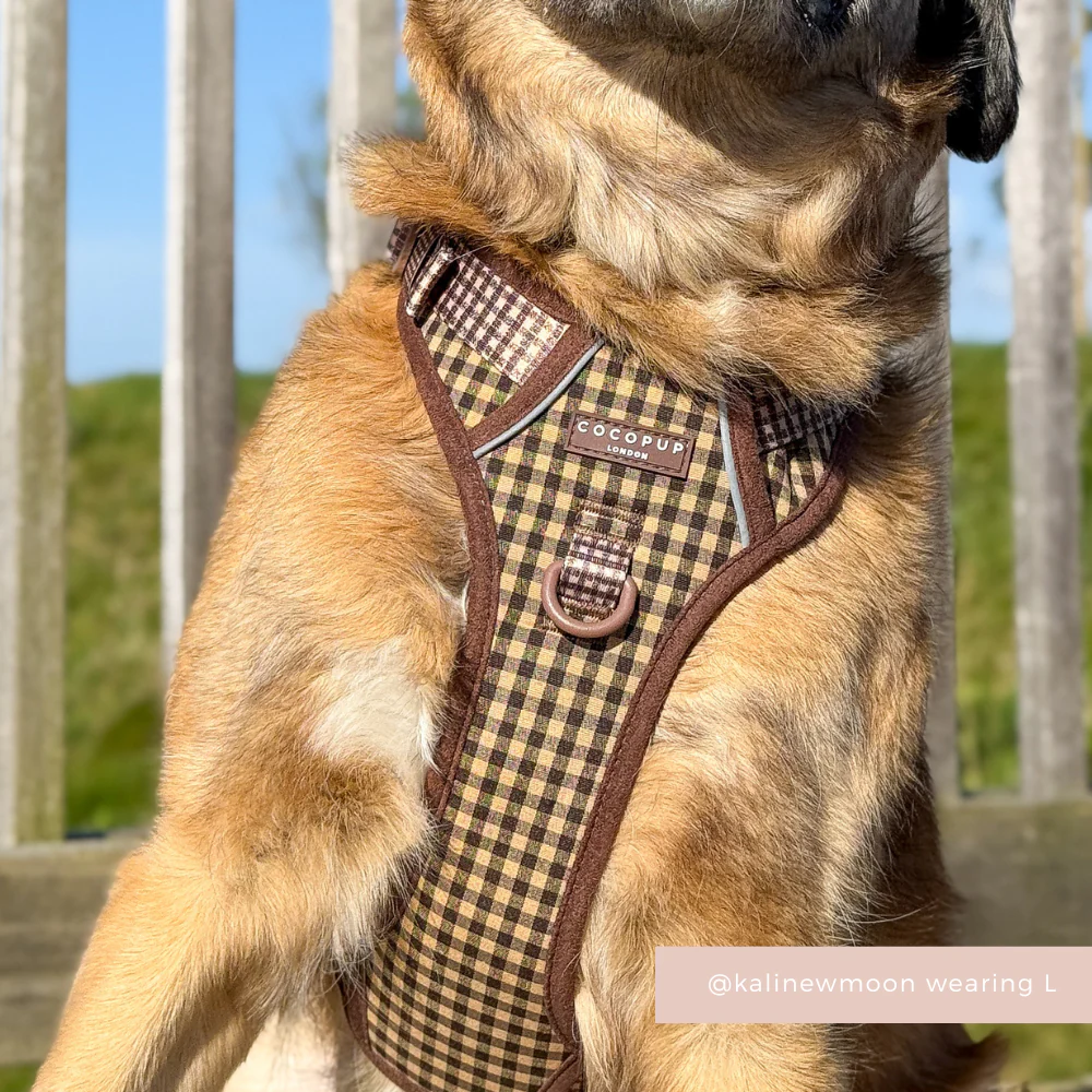 Explore Harness - Cotswold Check - Image 9