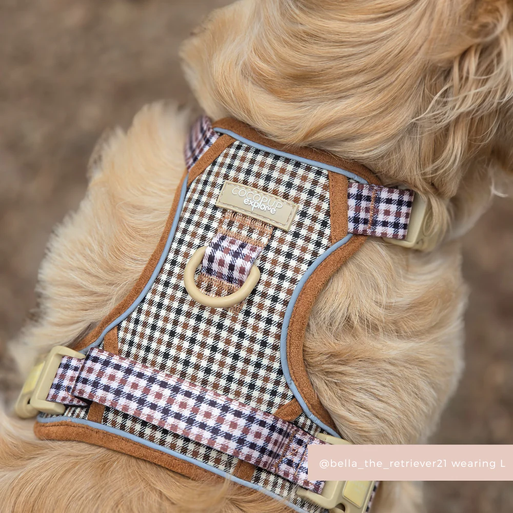 Explore Harness - Heritage Check - Image 5