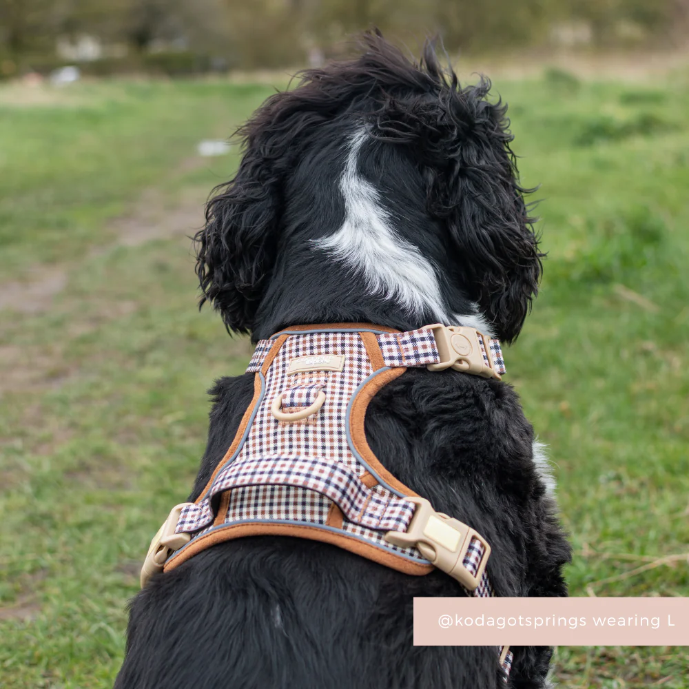 Explore Harness - Heritage Check - Image 9