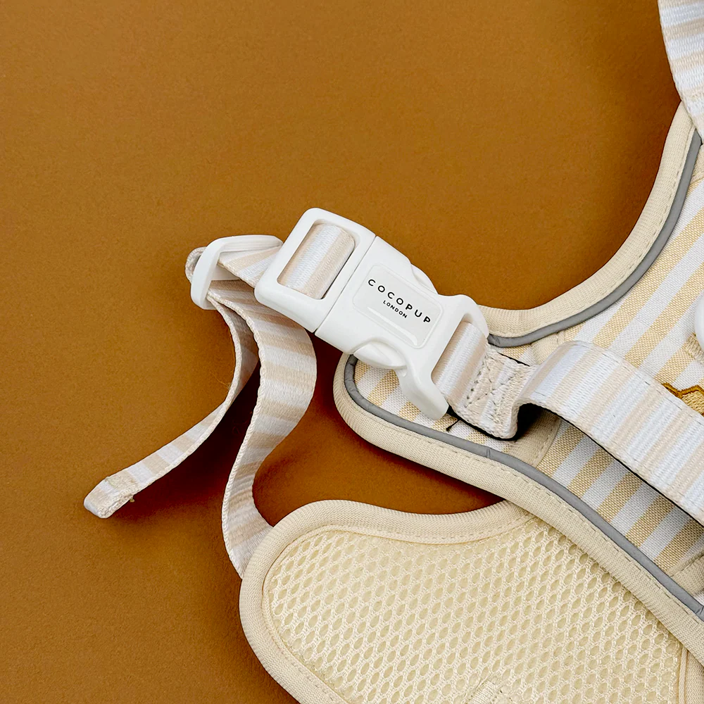 Explore Harness - Honey Meadow - Image 3