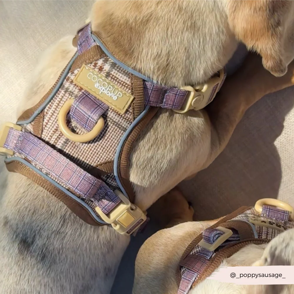 Explore Harness - Pup Plaid - Image 11