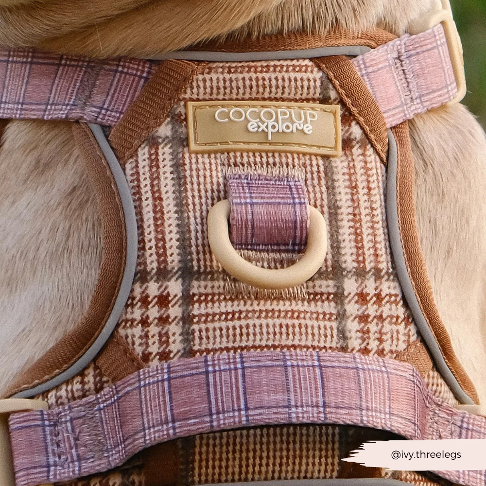 Explore Harness - Pup Plaid - Image 25