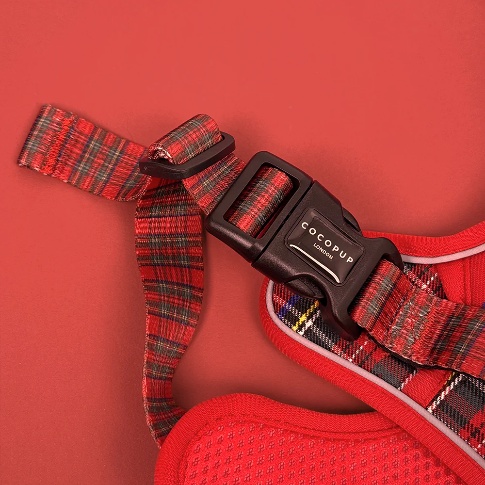 Explore Harness - Tartan - Image 4