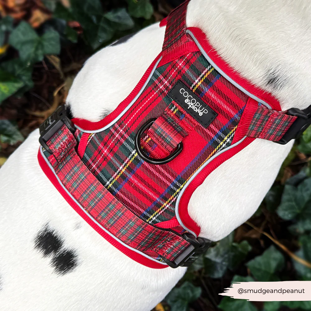 Explore Harness - Tartan - Image 9