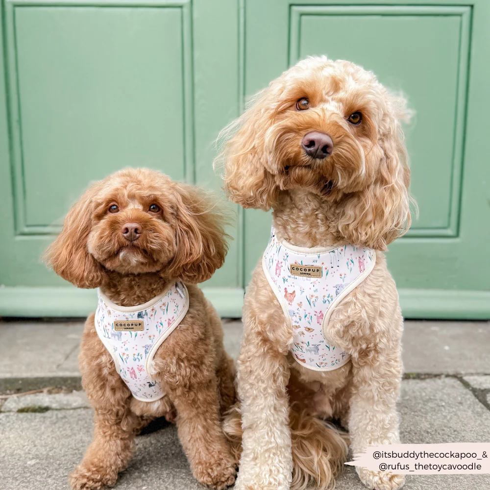 Farmyard Friends Adjustable Neck HARNESS - Image 11