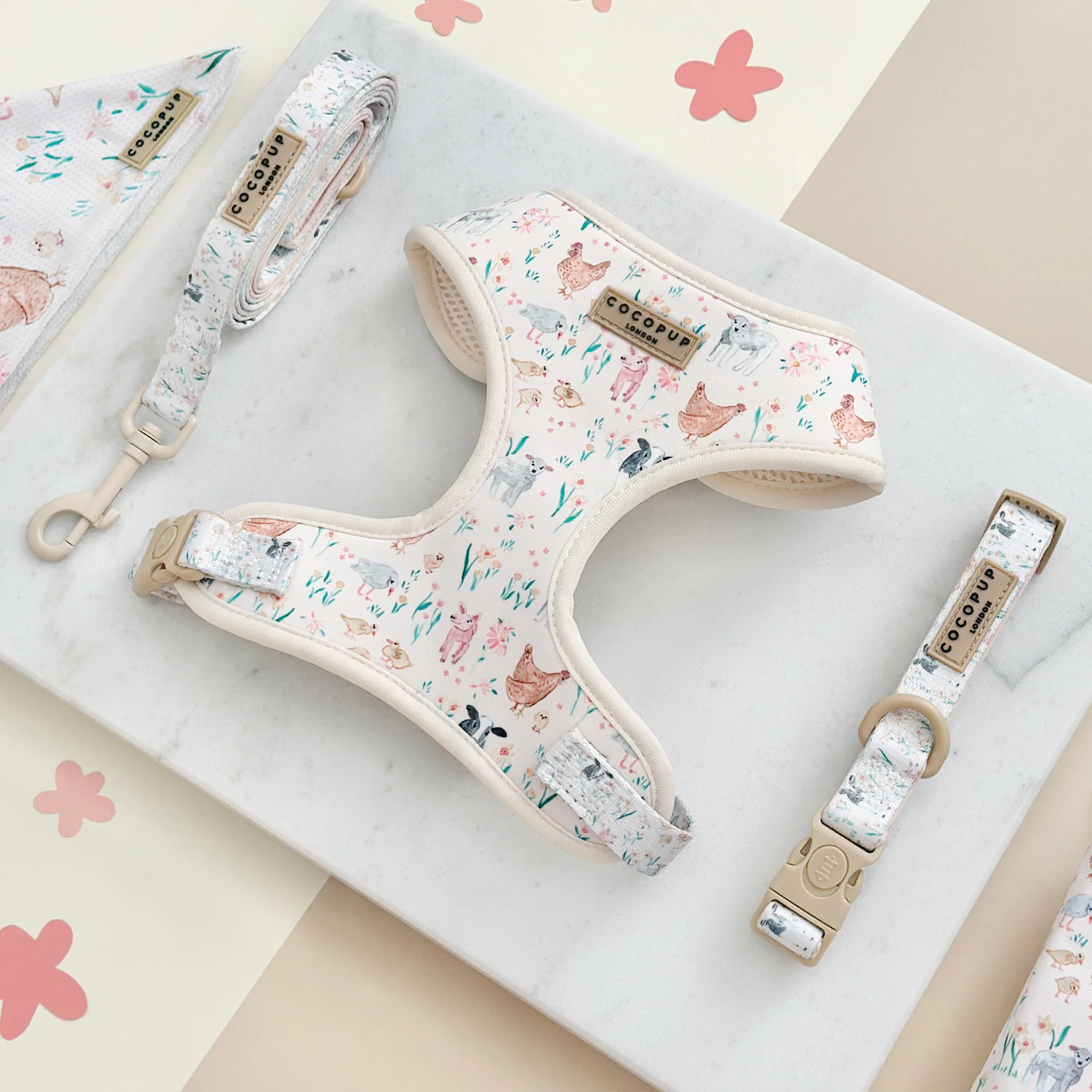 Farmyard Friends Adjustable Neck Harness, Lead & Collar Bundle