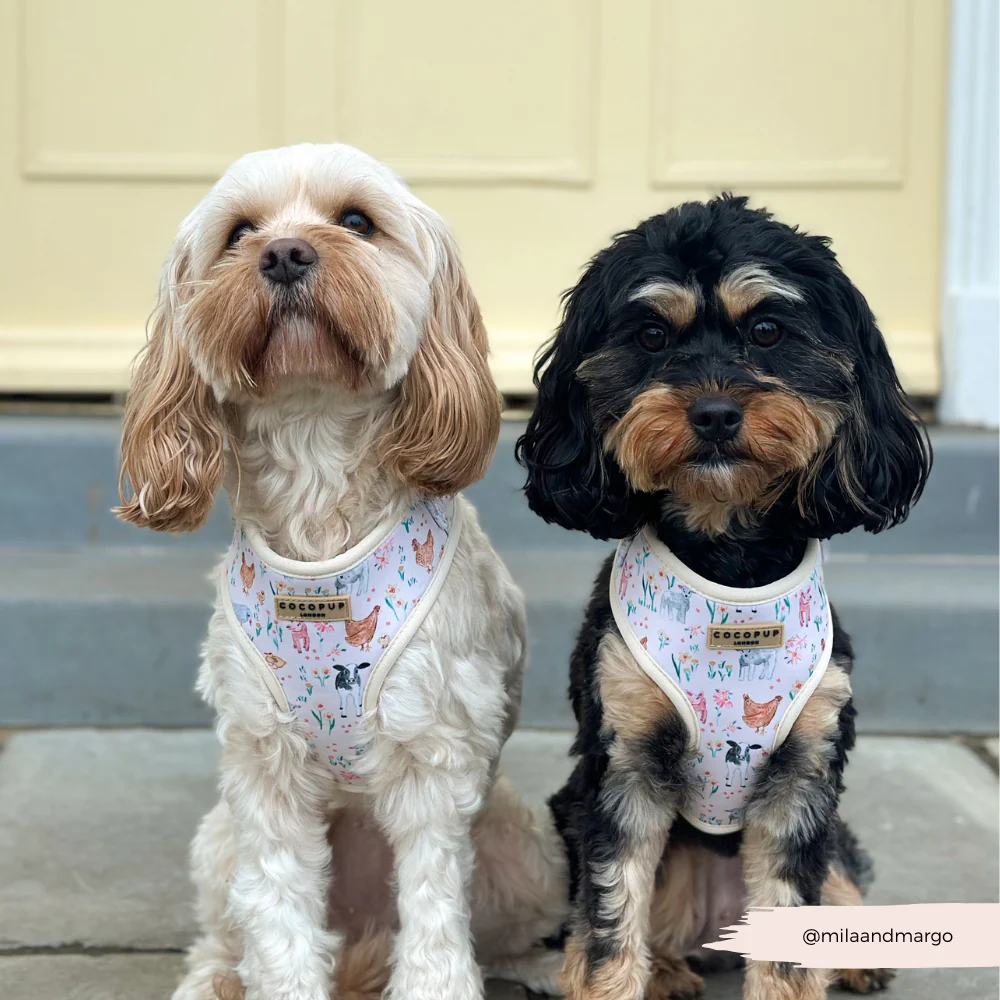 Farmyard Friends Adjustable Neck HARNESS - Image 14
