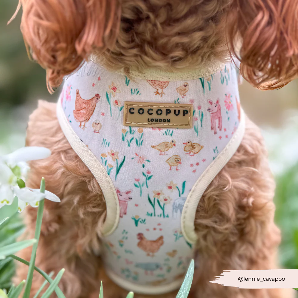 Farmyard Friends Adjustable Neck Harness, Lead & Collar Bundle - Image 11