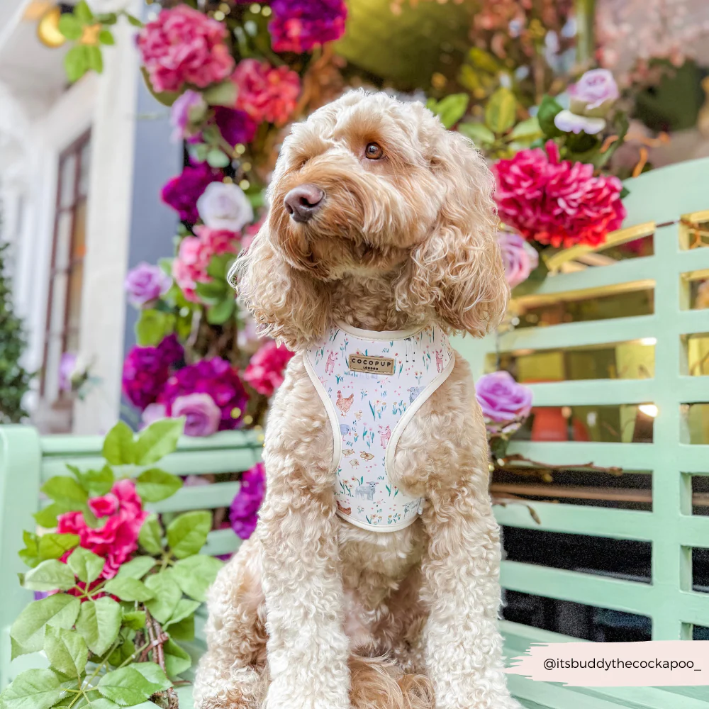 Farmyard Friends Adjustable Neck HARNESS - Image 13