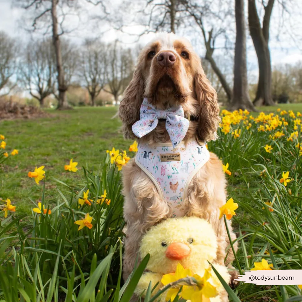 Farmyard Friends Sailor Bow Tie - Image 4