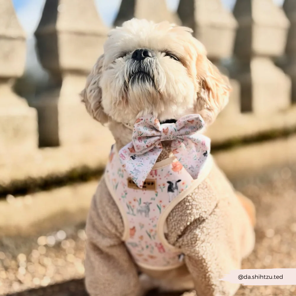Farmyard Friends Sailor Bow Tie - Image 3