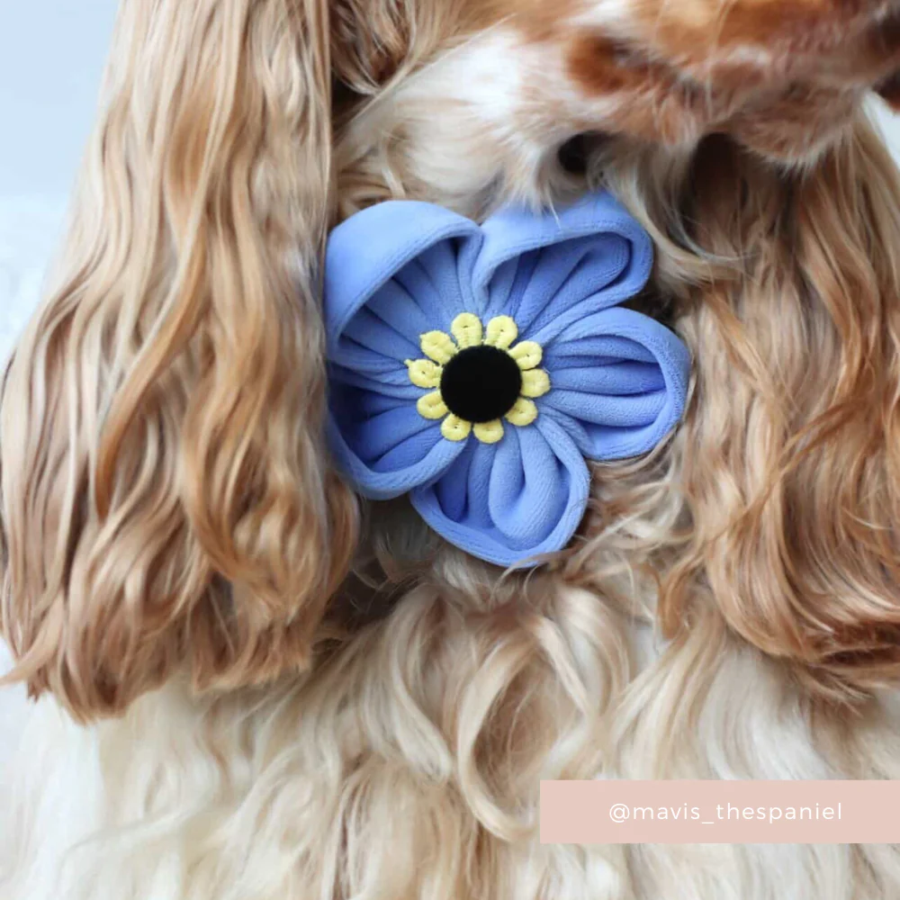 Forget Me Not Collar Flower - Image 3