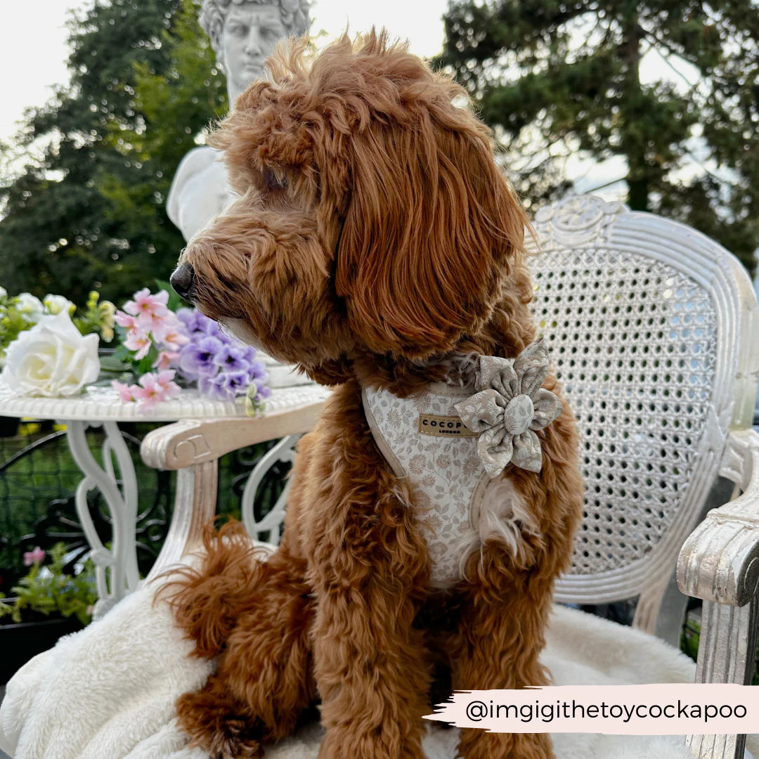 LUXE Garden Meadow Collar Flower - Image 7