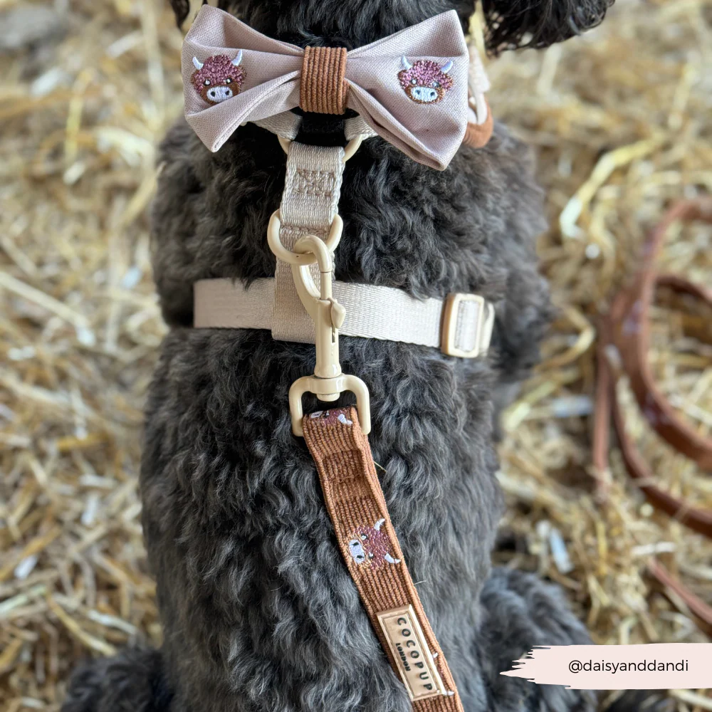 Harold the Highland Cow Bow Tie - Image 4