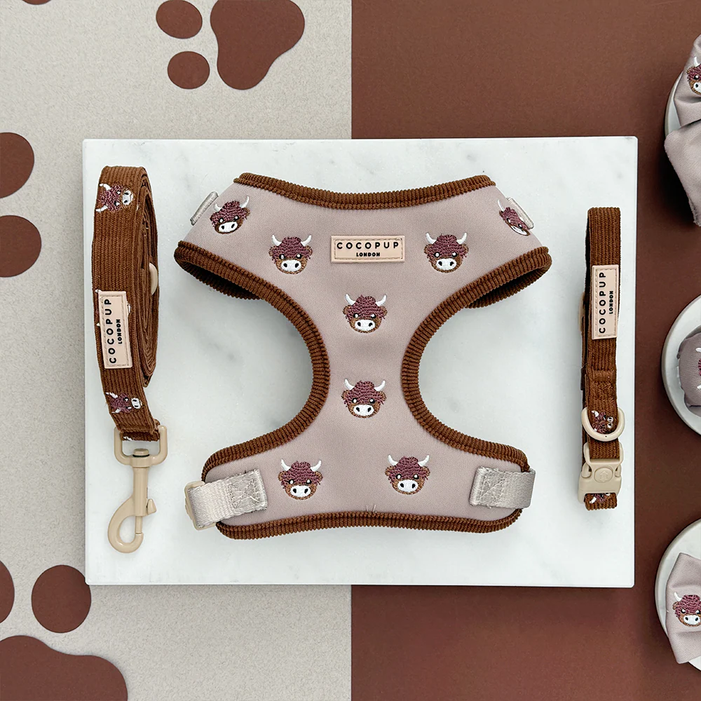 Harold the Highland Cow Adjustable Neck Harness, Lead & Collar Bundle - Image 2