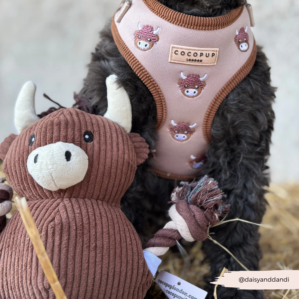 Harold the Highland Cow Toy - Image 4