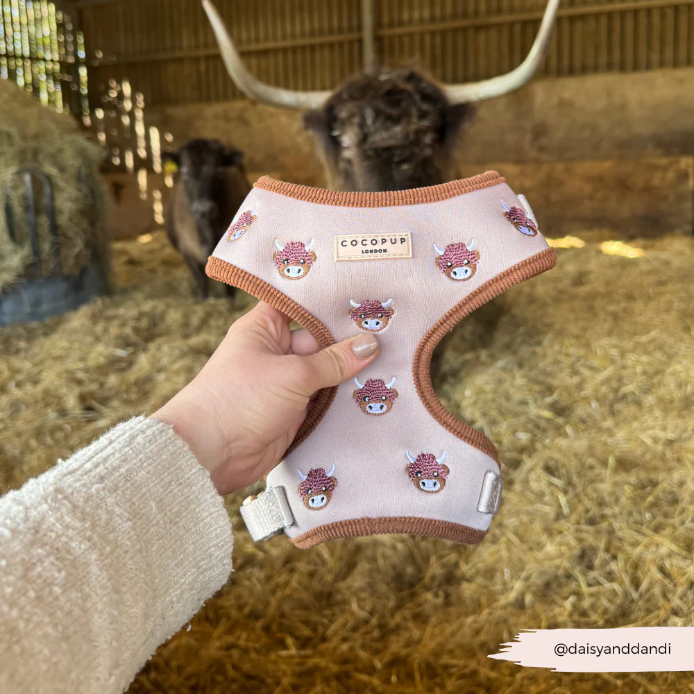 Harold the Highland Cow Adjustable Neck Harness, Lead & Collar Bundle - Image 27