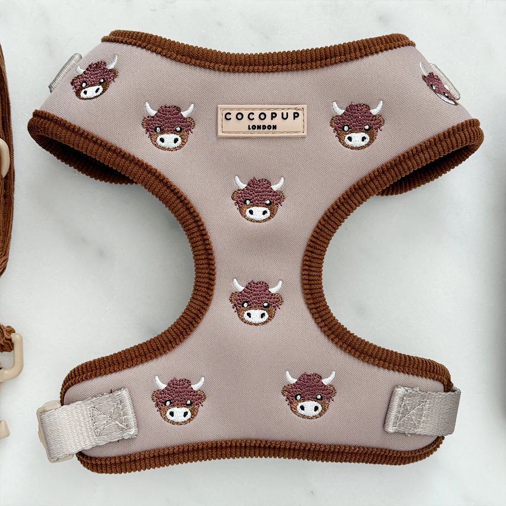 Harold the Highland Cow Adjustable Neck Harness, Lead & Collar Bundle - Image 3