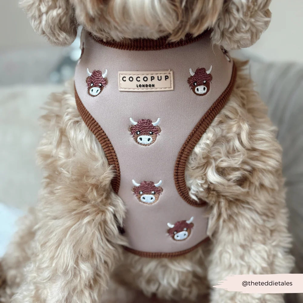 Harold the Highland Cow Adjustable Neck Harness, Lead & Collar Bundle - Image 34