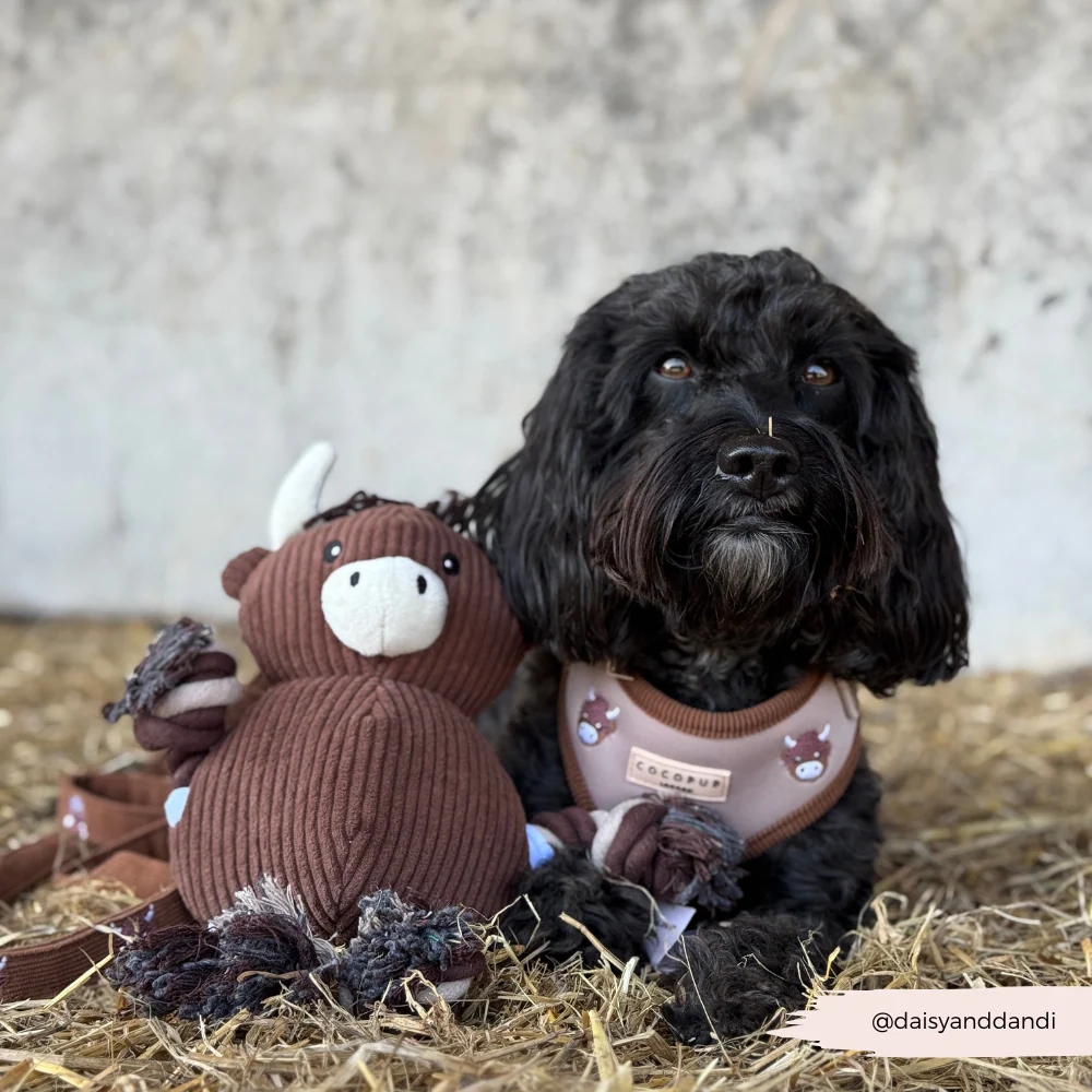 Harold the Highland Cow Toy - Image 9