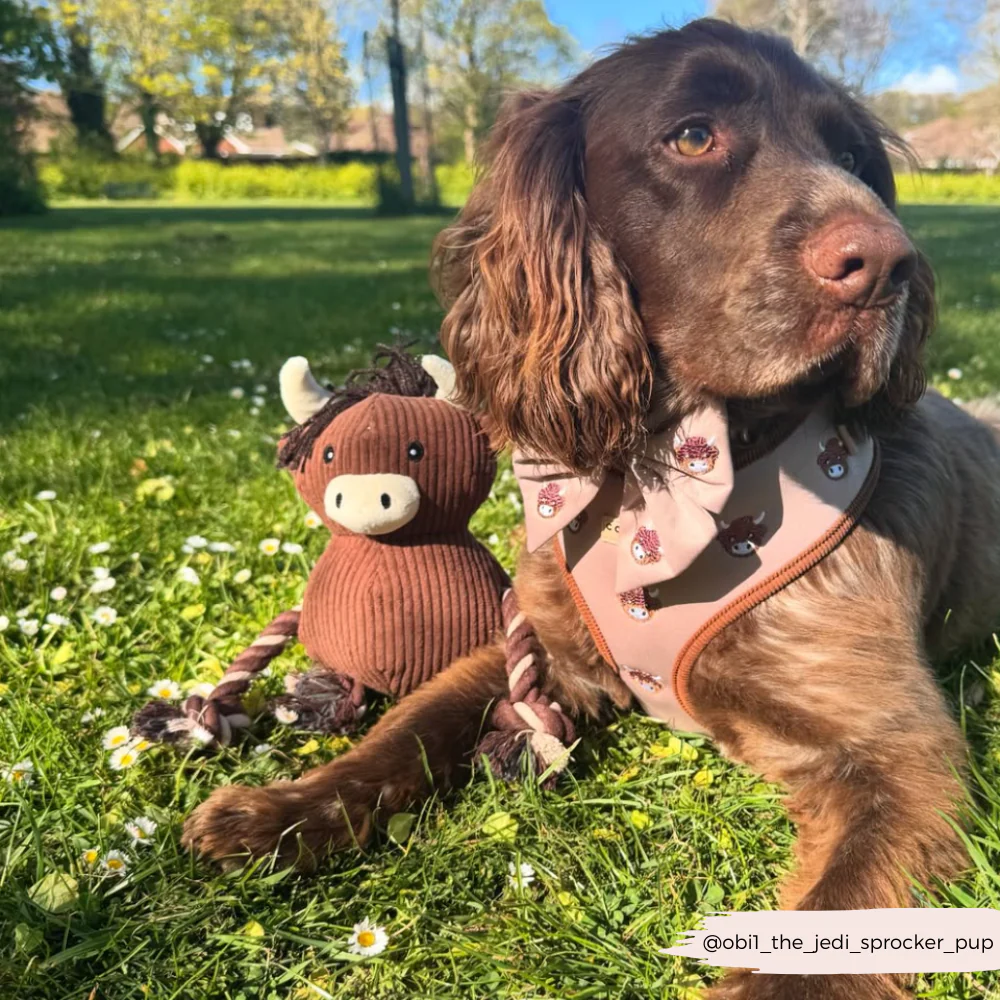 Harold the Highland Cow Toy - Image 10