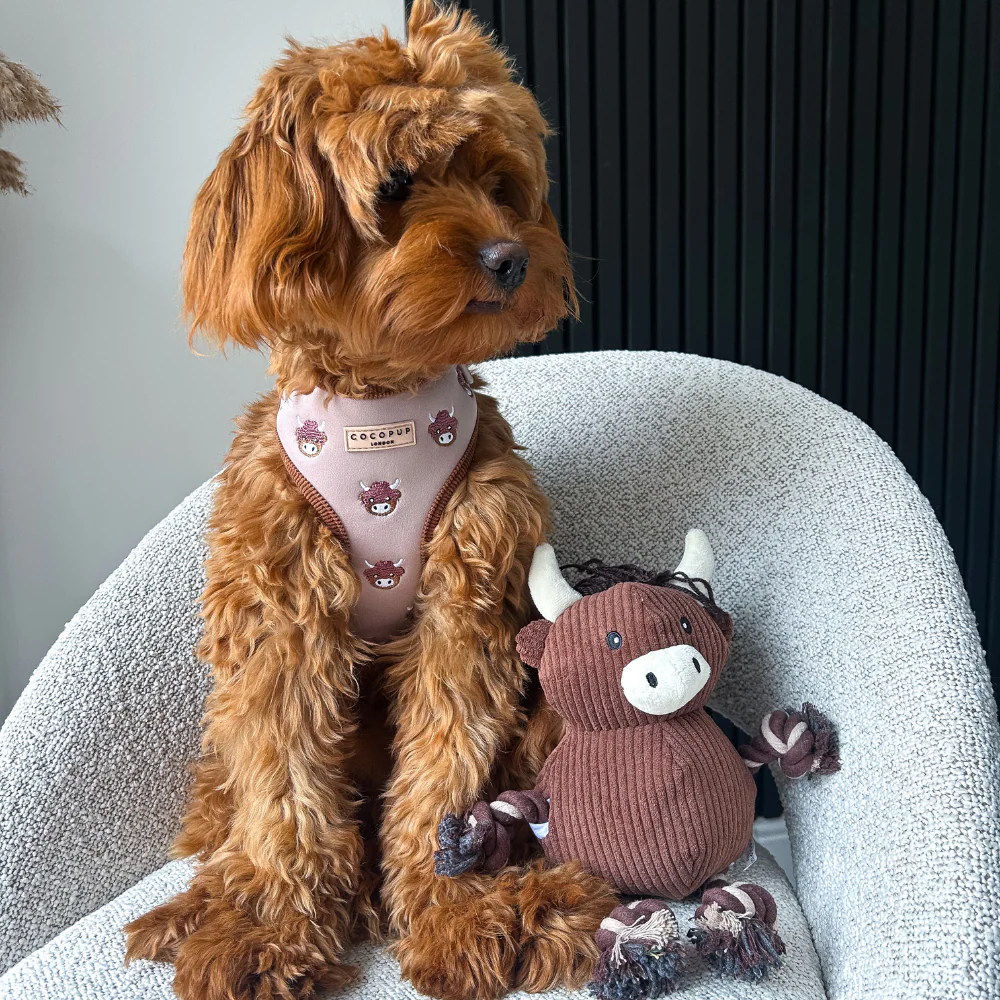 Harold the Highland Cow Adjustable Neck HARNESS - Image 14