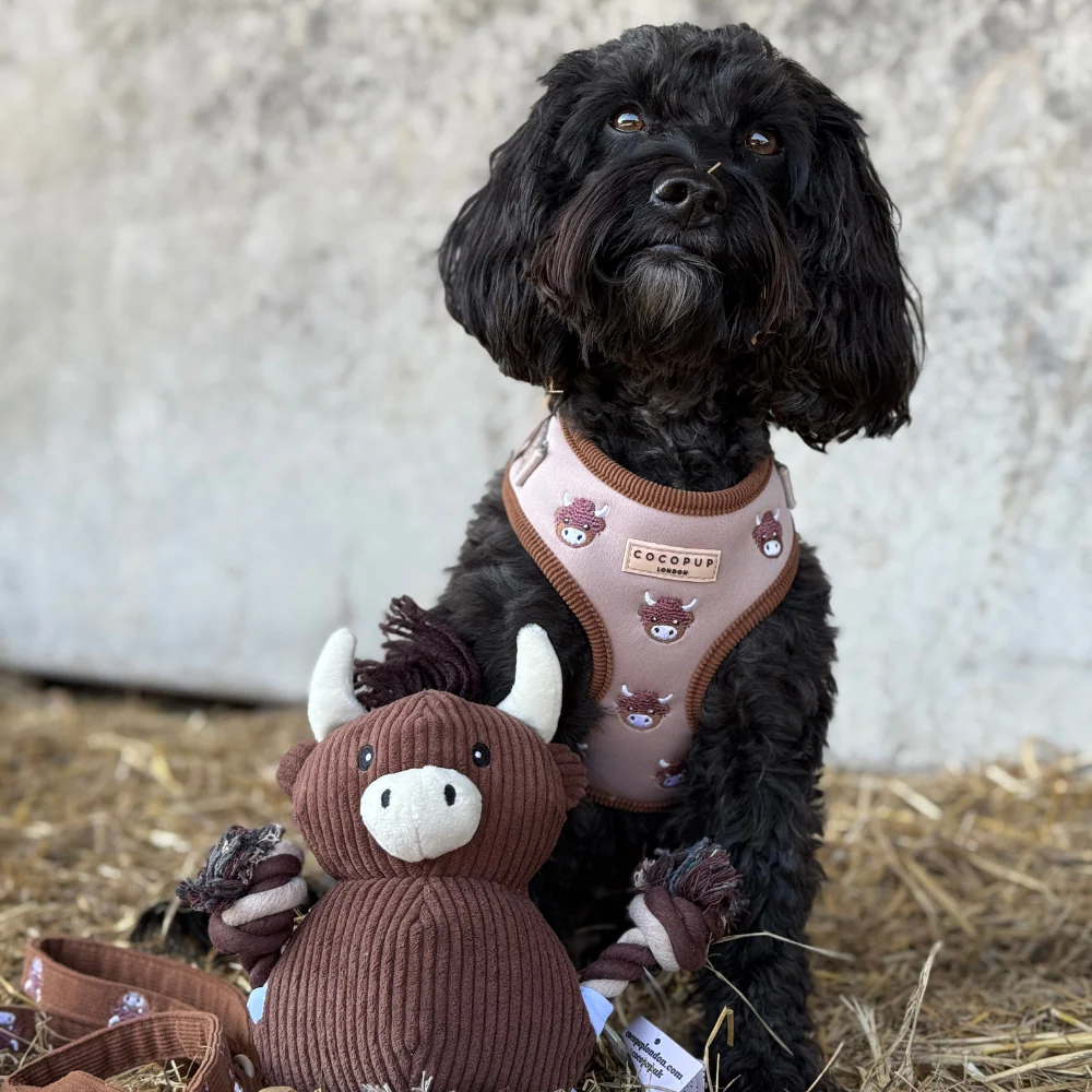 Harold the Highland Cow Toy - Image 17
